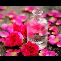 گلاب تازه اعلا