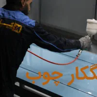 کارگر ساده و زیرکارچی