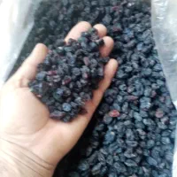 کشمش|خوردنی و آشامیدنی|خنداب, |دیوار