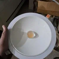 تعداد زیاد چراغ zfr نور سفید و افتابی توکار  روکار