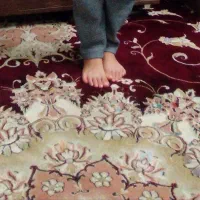 یک جفت فرش ۱۲ متری