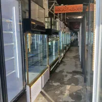 یخچال آکواریومی خوابیده