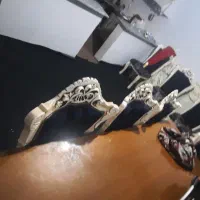 میز نهار خوری|حراج|خاوران, |دیوار