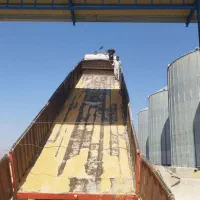 نیازمند شاگرد کامیون
