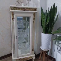 مینی ویترین کنار سالنی