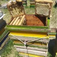 عسل قاب کوچیک سبلان|خوردنی و آشامیدنی|هیر, |دیوار