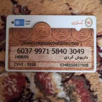 کارتبانکیبهاسمداریوشکردیگمکردم