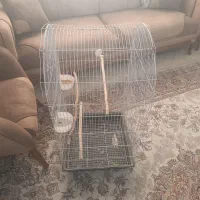 قفس|لوازم جانبی حیوانات|تهران, مسعودیه|دیوار