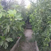 باغ-باغچه-400-متری