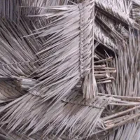 جارو ابادانی