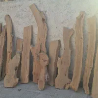 اسلپ|کتابخانه، شلف، قفسه‌های دیواری|مشهد, ابوذر|دیوار