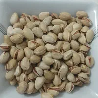 فروش پسته تازه امسال|خوردنی و آشامیدنی|شیراز, کوشک میدان|دیوار