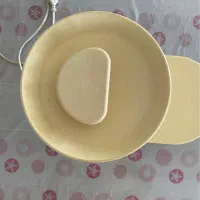 ابمیوه گیری AEG|آبمیوه‌گیر و آب‌مرکبات‌گیر|تهران, گیشا|دیوار
