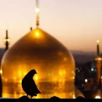 تور ریلی و زمینی مشهد مقدس/سفر راحت و آسان