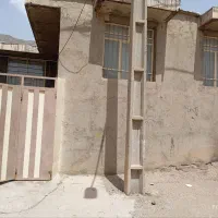 فرزانگان