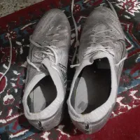 استوک دار