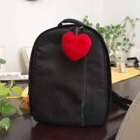 کوله پشتی دوربین عکاسی