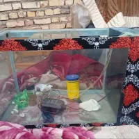 اکواریوم فروشی