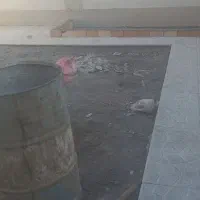 اوستا بنا و بنایی