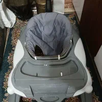 روروئک ملورین