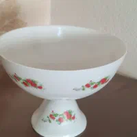 ظروف پذیرایی گل سرخی