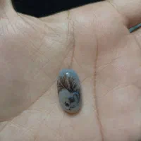 نگین شجر تراش خورده زیبا