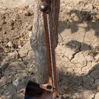 ساز دورود|سازهای سنتی|تهران, آذری|دیوار