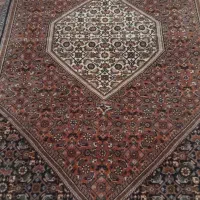 فرش دستبافت|فرش|سقز, |دیوار