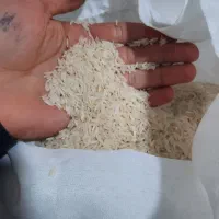فروش برنج پر محصول فجر فقط ۱۴۰ تومن|خوردنی و آشامیدنی|آستارا, |دیوار