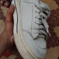 کفش|کیف، کفش، کمربند|سبزوار, شرق کال عیدگاه|دیوار