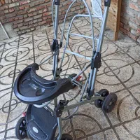 کالسکه دلیجان با روکش ترک چیچک تازه