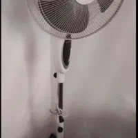 پنکه سانی درحدنو