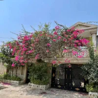 رهن-و-اجاره-ویلایی-250متری-فاز-یک-پادادشهر