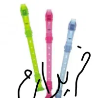 فلوت ریکوردر