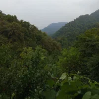 خانه مسافر دایی علی|اجارهٔ کوتاه‌مدت آپارتمان و سوئیت|دوزین, |دیوار