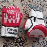 دستکش بوکس GREEN HILL