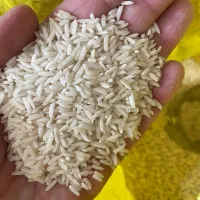 برنج دم لول