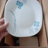 ارکوپال نو در کارتن