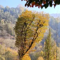 ویلا 220 متری با 400 متر زمین اطاق ور