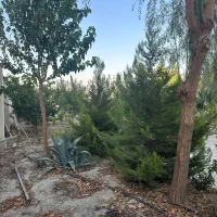 باغ ۹۰۰متری/سند۶دانگ/دونبش/منطقه ویلایی پدم|فروش خانه و ویلا|محمدشهر, همایون ویلا|دیوار