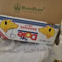 کارتن موزی