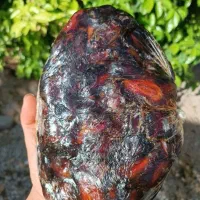 خرمای شیره زده