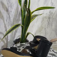 سلام تعدادی کفش و عبایه خرجی مارک در حد نو|کیف، کفش، کمربند|صدرا-فارس, فاز ۱|دیوار