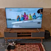 ال ای دی ۵۵اینج مکسن|تلویزیون و پروژکتور|هرسین, |دیوار