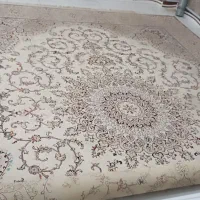 یک عدد فرش ۱۲ متری