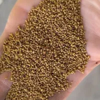 تخمه یونجه قهاوند..