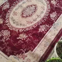 فرش|فرش|لنگرود, |دیوار