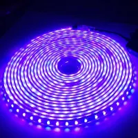 ریسه و چراغ های ار جی بی rgb جذاب|لامپ و چراغ|یزد, |دیوار