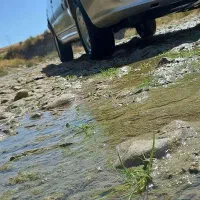 فروش فوری|خودرو سواری و وانت|دالاهو, |دیوار