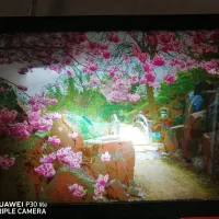 جراغ خواب بزرگ با نمای بسیار زیبا